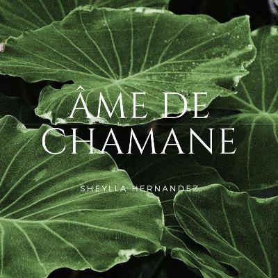 ÂME DE CHAMANE (Trailer)