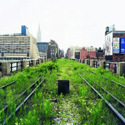 【Ep.8】铁路上的花园：让纽约人又爱又恨的高线公园