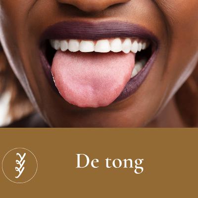 24 stappen / dag 13 * De tong 24 stappen / dag 13 * De tong