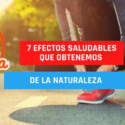 022: 7 Efectos Saludables Que Obtenemos De La Naturaleza