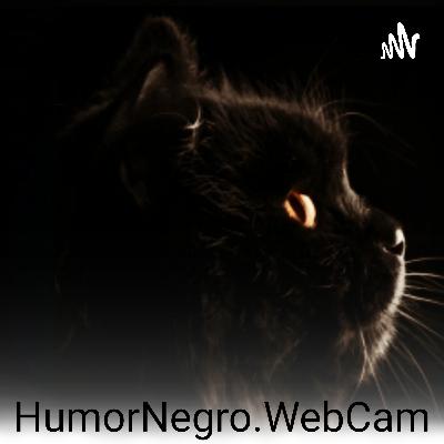 05.Que se necesita para montar un estudio webcam en Colombia?
