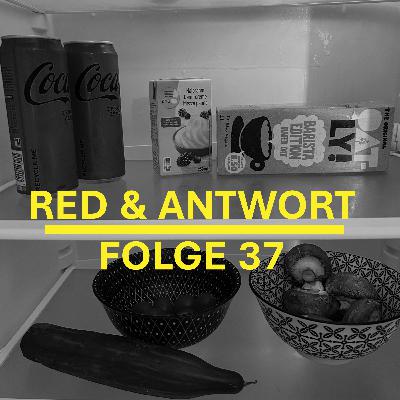 #37 – Schlägereien, Streit und unser Kühlschrank