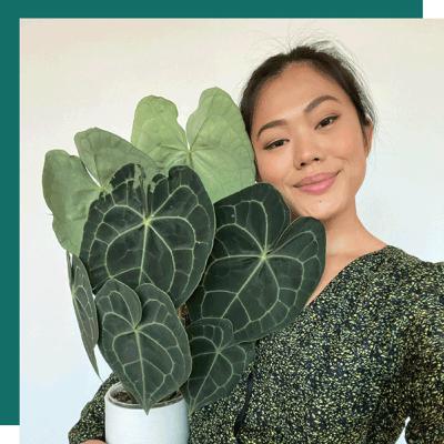 Vivien (Siloliage) | Moving Plants to a New Home & Changes to Career Path | Wine Down the Week Ep 10 Vivien (Siloliage) | Moving Plants to a New Home & Changes to Career Path | Wine Down the Week Ep 10
