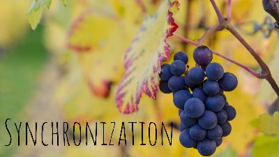 Synchronization PM - Audio Synchronization PM - Audio