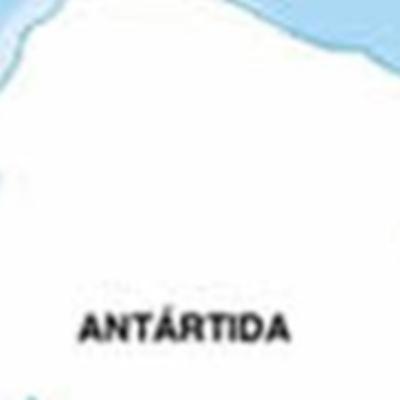 Los Animales del antartico (Parte 4) Los Animales del antartico (Parte 4)