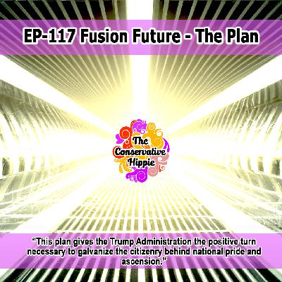 Fusion Future – The Plan Fusion Future – The Plan