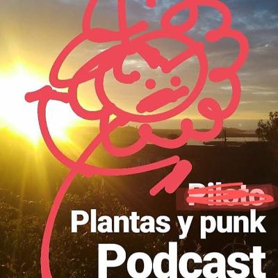 piloto de plantas y punk