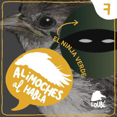 Fascinante y extraordinariamente normal, con El Ninja Verde #07