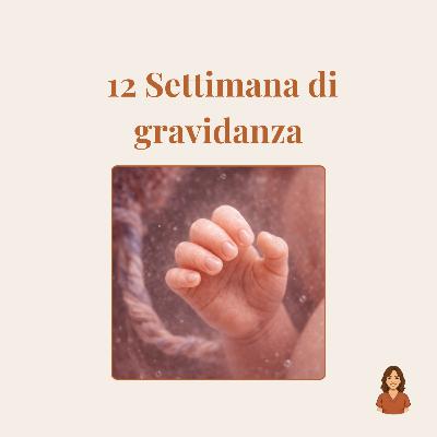 12ª settimana di gravidanza: sintomi, sviluppo del feto, ecografia e consigli 12ª settimana di gravidanza: sintomi, sviluppo del feto, ecografia e consigli
