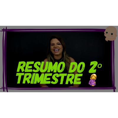 Resumo do segundo trimestre gestacional - Áudio 12 Diário de Gravidez