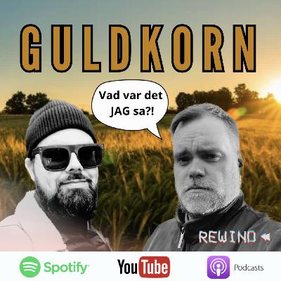 [Guldkorn] Omstarter & Materialfel 2024