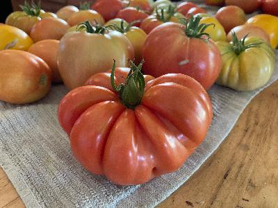More Tips for a Successful Garden