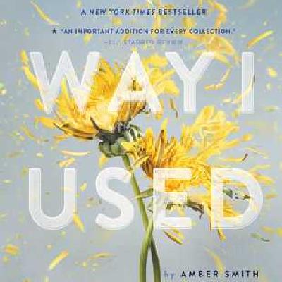 Download (pdf) Book The Way I Used to Be by Amber   Smith