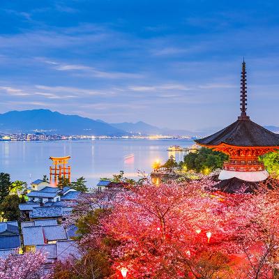 Episodio 1 "Emozioni a confronto"