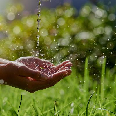 Episode 14 - Shrina Kurani talks of channeling innovation & positive vision for a sustainable future. Episode 14 - Shrina Kurani talks of channeling innovation & positive vision for a sustainable future.