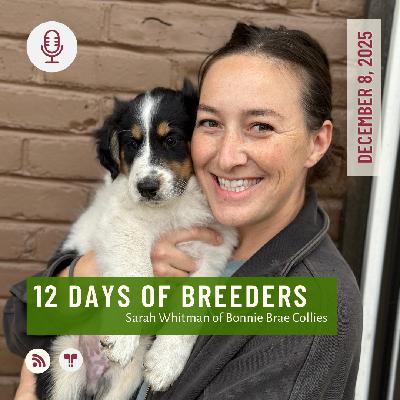 12 Days of Breeders 2025 - #8 - Sarah Whitman of Bonnie Brae Collies 12 Days of Breeders 2025 - #8 - Sarah Whitman of Bonnie Brae Collies