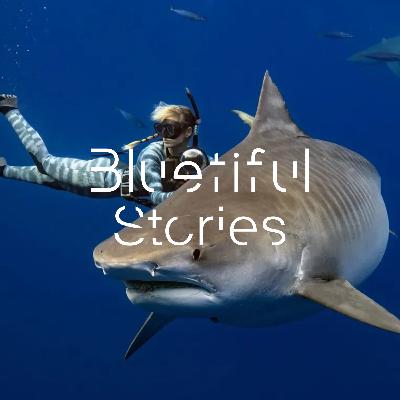 Ocean Ramsey: Shark Whisperer | The Ecoalf Podcast Ocean Ramsey: Shark Whisperer | The Ecoalf Podcast