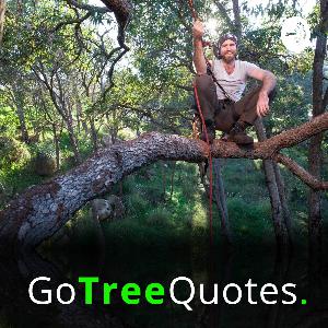 003 | How much does it cost to cut down a tree 003 | How much does it cost to cut down a tree