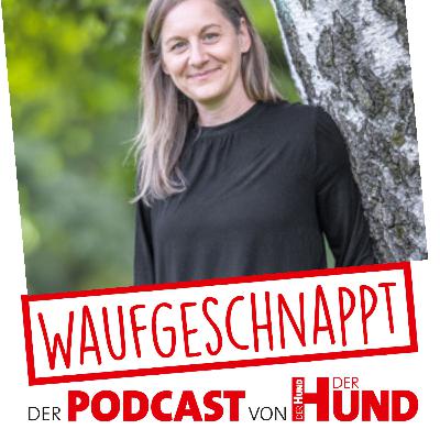 Von eskalierenden Menschen und ihren Hunden - Maria Rehberger