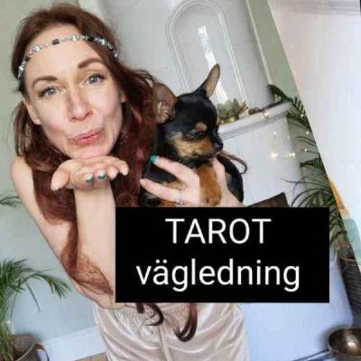 TAROT medial vägledning med Tanja Dyredand