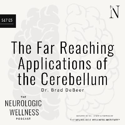 The Far Reaching Applications of the Cerebellum