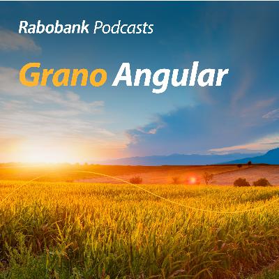 Granos y pecuarios en el 2026