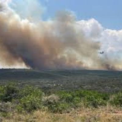 THE WILDFIRES ARE A RESULT OF CLIMATE CHANGE THE WILDFIRES ARE A RESULT OF CLIMATE CHANGE