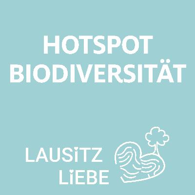 #24 Hotspot der Biodiversität: Oberlausitzer Heide- und Teichlandschaft