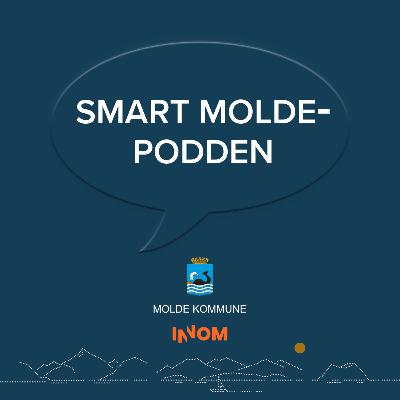 Hva vil det si å være godkjent som Trafikksikker kommune?