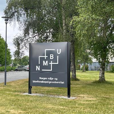 Siv Scheie, professor i meieriteknologi