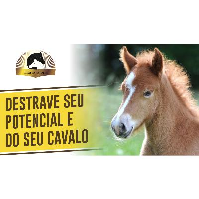 DESTRAVE O SEU POTENCIAL E DO SEU CAVALO - PARTICIPAÇÃO KAMILLY DE ALMEIDA | Haras Stone #012
