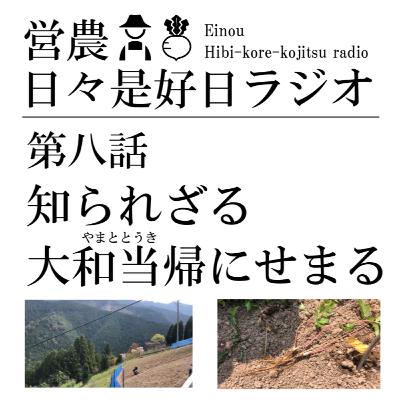 第八話/知られざる大和当帰(やまととうき)にせまる