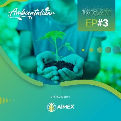 Ambientalizar #03 - Entenda as diferenças entre desmatamento e manejo florestal sustentável Ambientalizar #03 - Entenda as diferenças entre desmatamento e manejo florestal sustentável