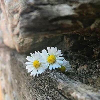 #1. Thời Khắc Của Mỗi Người Là Khác Biệt #1. Thời Khắc Của Mỗi Người Là Khác Biệt