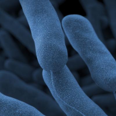 Could Legionella Be Lurking In Your Groundwater?