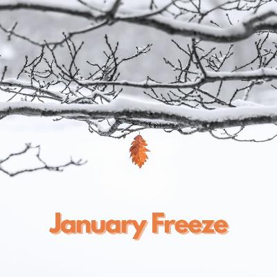 January Freeze January Freeze