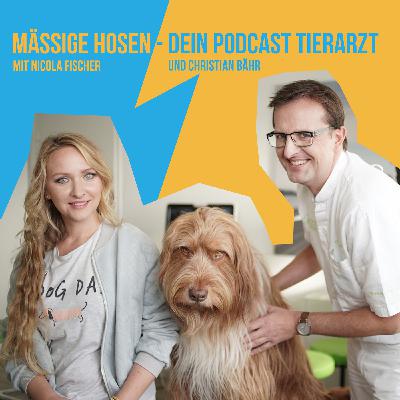 #31 Gästebuch - mit Peter Höffken von PETA #31 Gästebuch - mit Peter Höffken von PETA