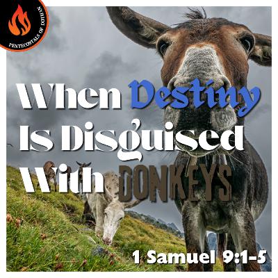Bro. Philip Harrelson - When Destiny Is Disguised With Donkeys - 12/7/25