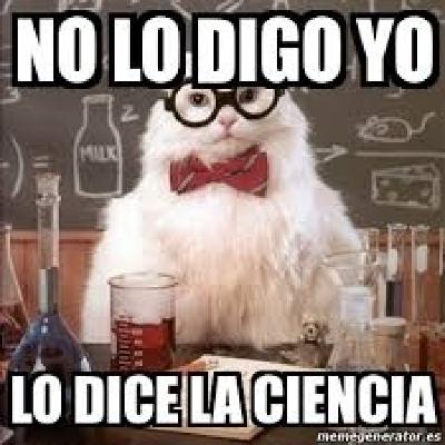 Focus Podcast - La Ciencia del Meme
