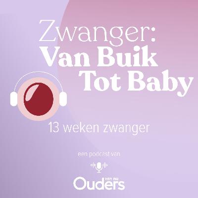 13 Weken zwanger: Wil jij het weten?