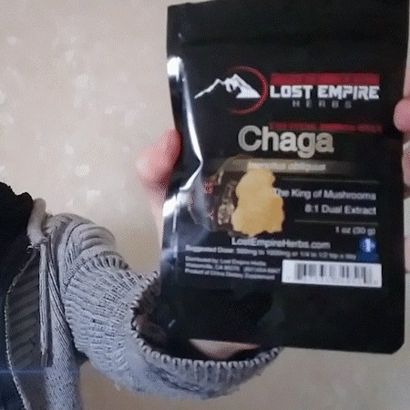 A Nootropic Coffee Cofactor ☕ Biohacker review of Chaga 8:1 Extract + science overview