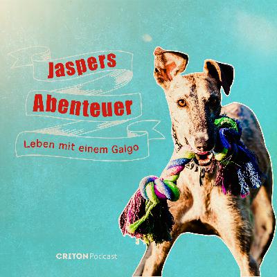 Spaniens neues Tierschutzgesetz