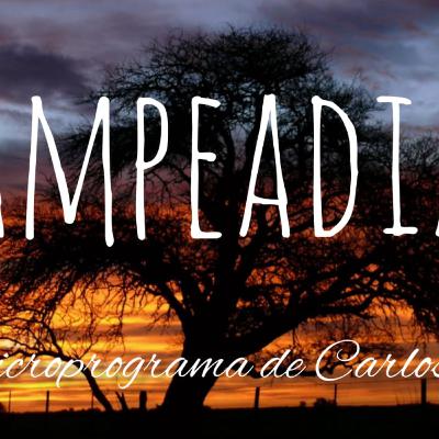 PAMPEADIAS #28 : Podcast:"A que le escriben los poetas pampeanos"