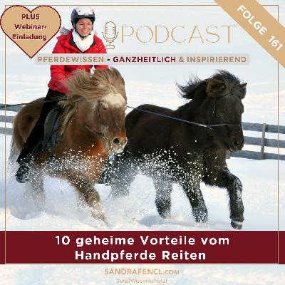 🐎🐎 10 geheime Vorteile vom Handpferde Reiten 🐎🐎 10 geheime Vorteile vom Handpferde Reiten