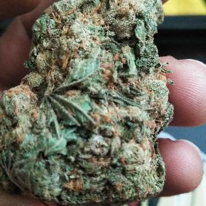 Wake N Bake