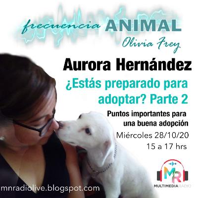 FRECUENCIA ANIMAL 23 CON OLIVIA FREY, INVITADA AURORA HERNÁNDEZ, CONSIDERACIONES PARA ADOPTAR PARTE 2