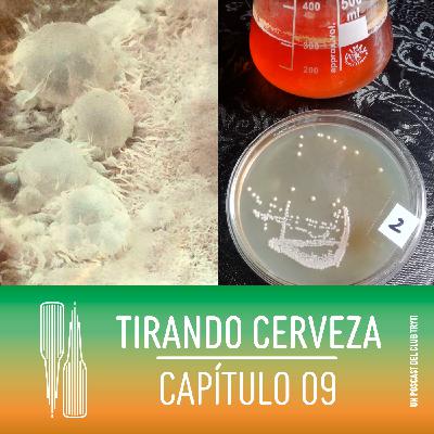 Tirando Cerveza - Cap09 - Cervezas Ácidas