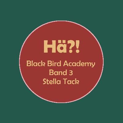 135 Black Bird Academy B3 - Stella Tack 135 Black Bird Academy B3 - Stella Tack