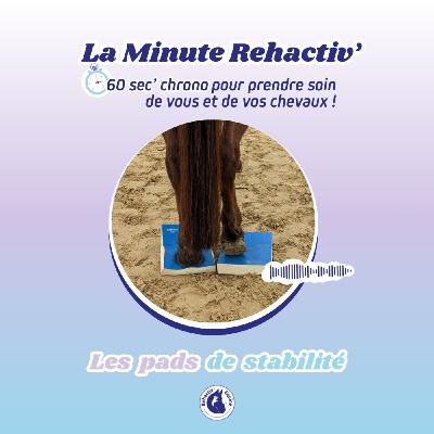 Les pads de stabilité