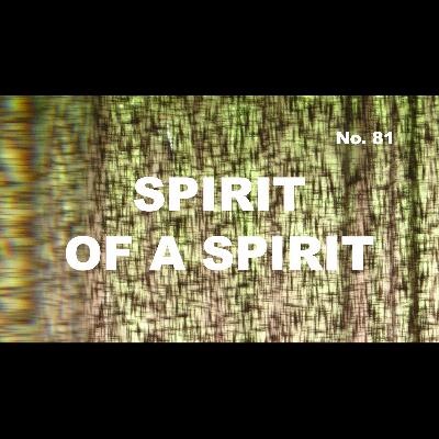 Episode 81 - Spirit Of A Spirit